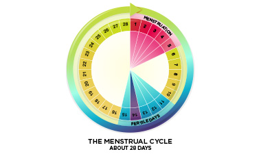 OVULATION PERIOD FOR PREGNANCY You're most fertile at the time of ovulation  which usually occurs 12 to 14 days before your next period starts. For